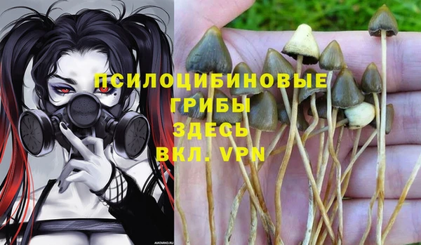 a pvp Липки